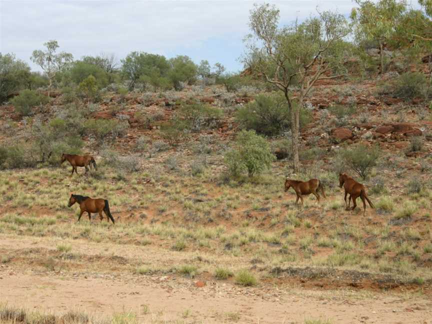 Kalarranga Lookout, Finke, NT