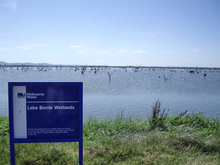 Lake Borrie Wetlands, Little River, VIC