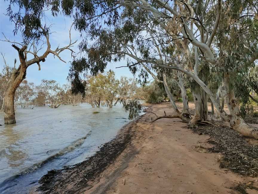 Lake Pamamaroo, Menindee, NSW