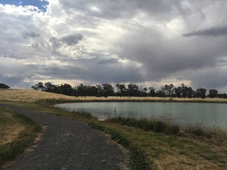 Minyip Wetlands, Minyip, VIC