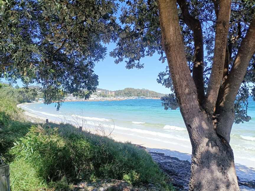 Nelson Bay Beach, Nelson Bay, NSW