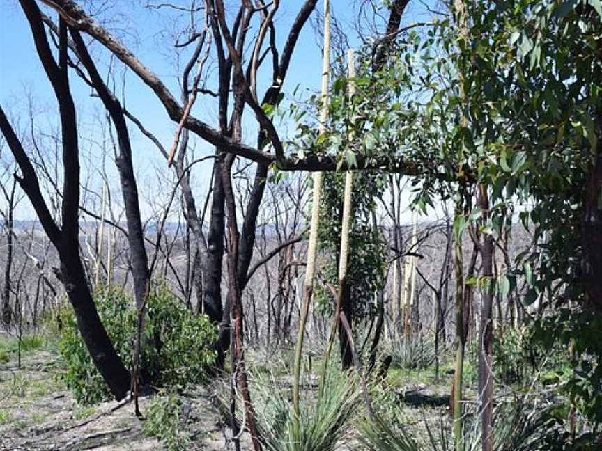 Roachdale Nature Trail, Kersbrook, SA