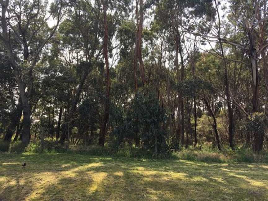 Shane's Bush Reserve, Wonthaggi, VIC