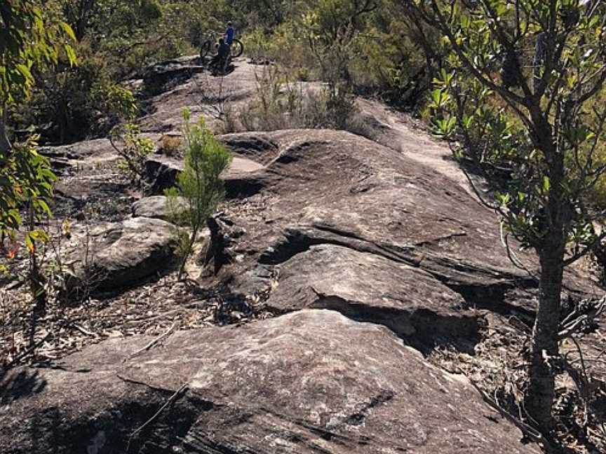 Shirlow Road Fire Trail, Faulconbridge, NSW