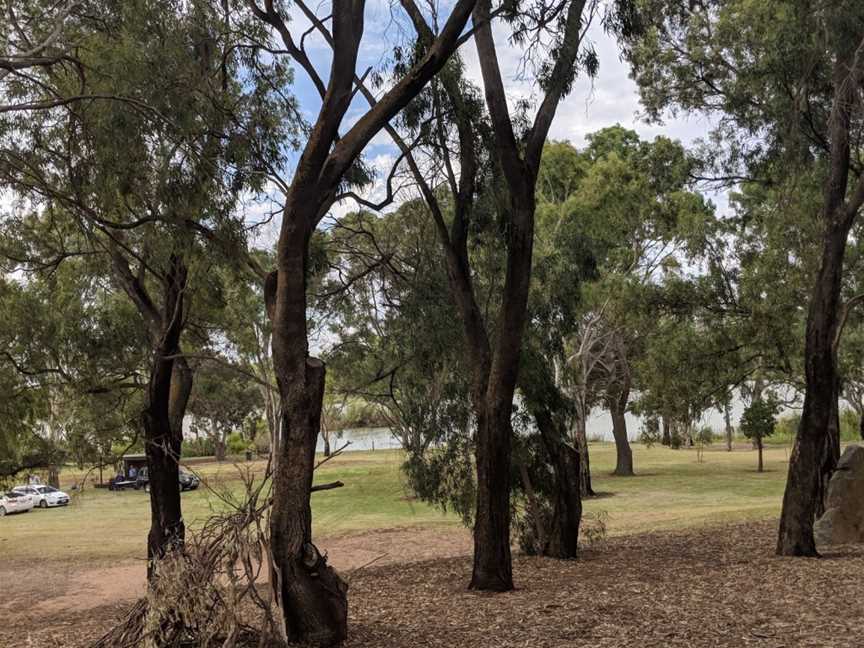 Swanport Reserve, Murray Bridge, SA