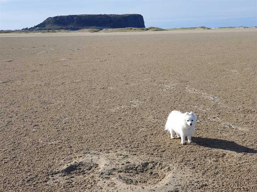 Tatlows Beach, Stanley, TAS