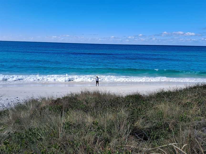 Taylors Beach, The Gardens, TAS