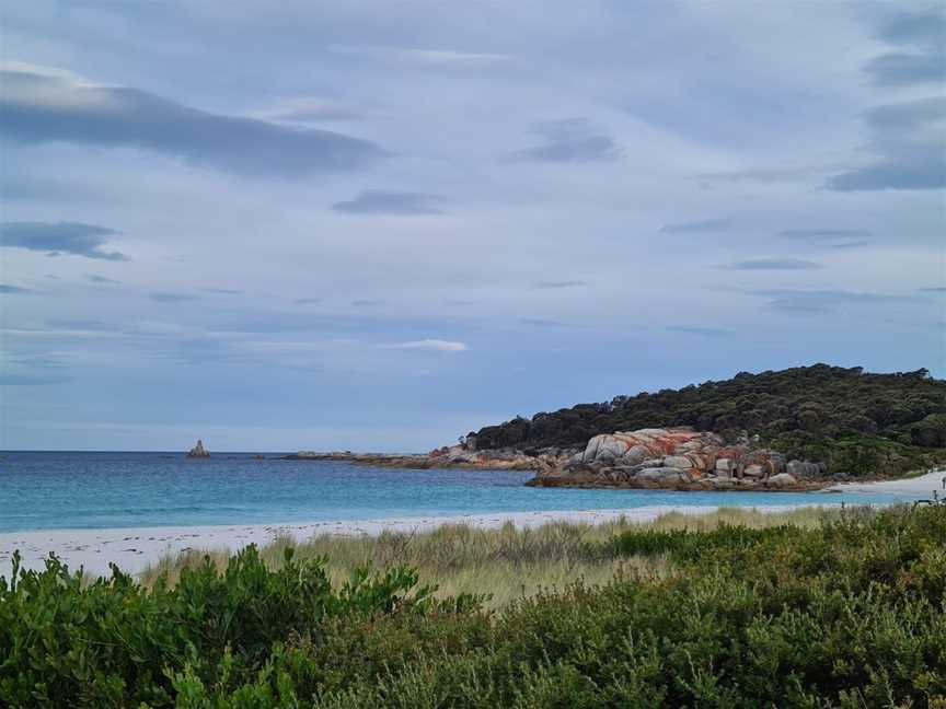 Taylors Beach, The Gardens, TAS