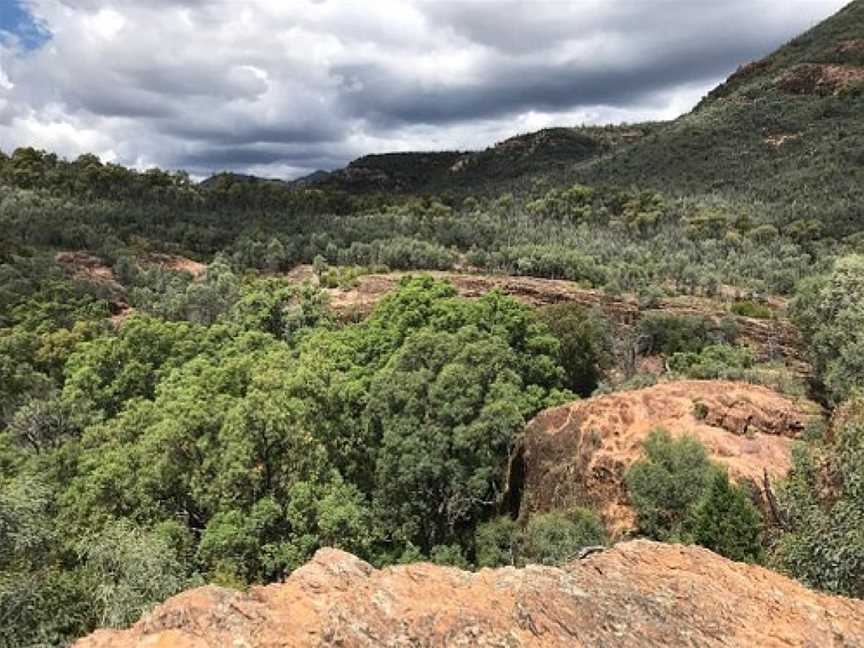 Wambelong Nature Track, Coonabarabran, NSW