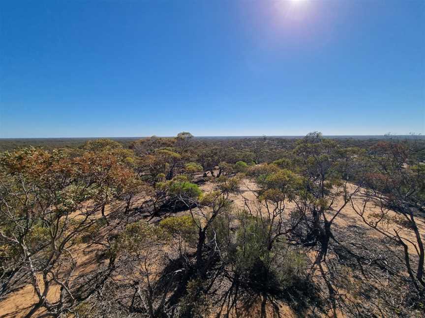 Warepil Lookout, Ouyen, VIC