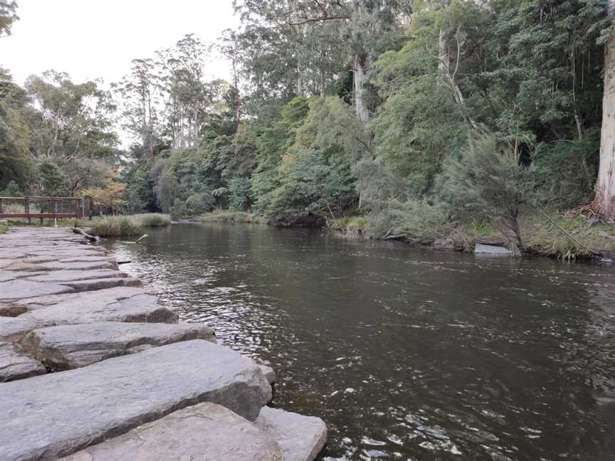 Warburton Picnic Park, Warburton, VIC