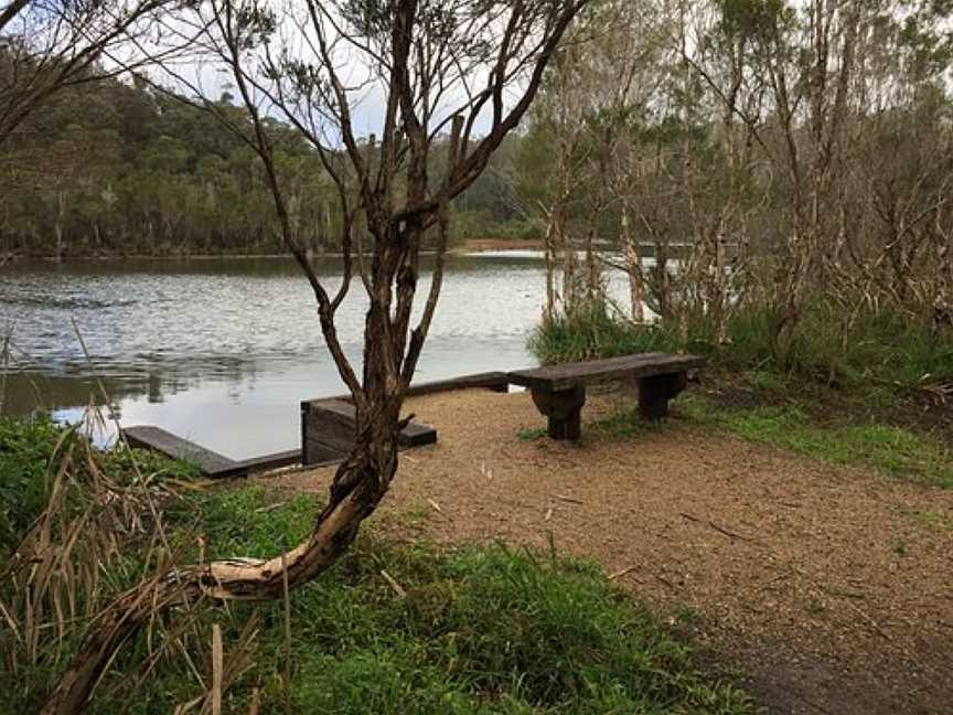 Wetlands Walk, Nowa Nowa, VIC