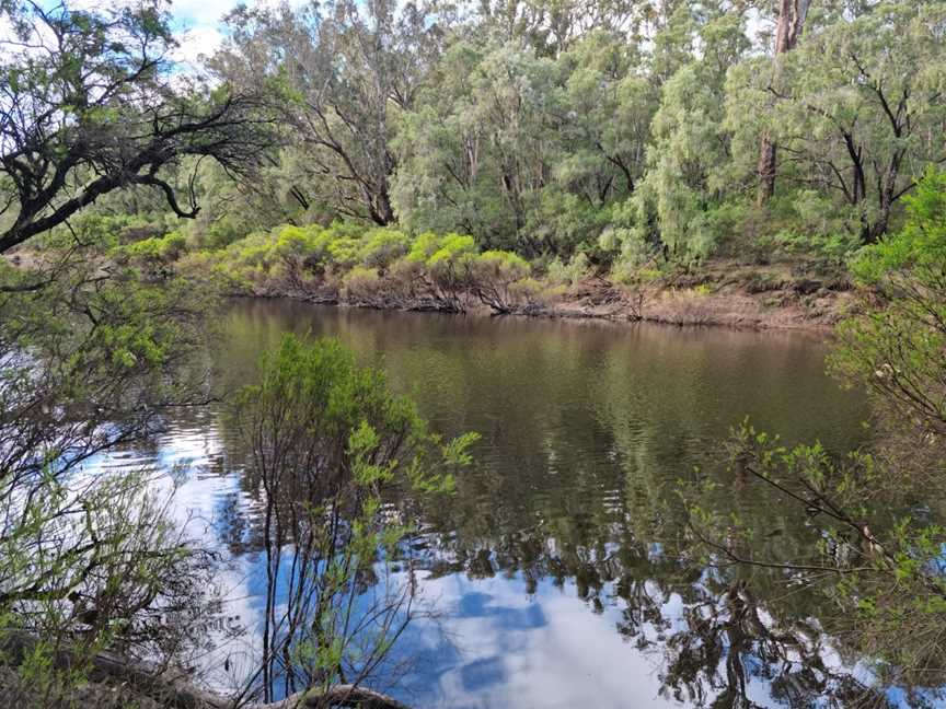 Blackwood River National Park, Rosa Brook, WA