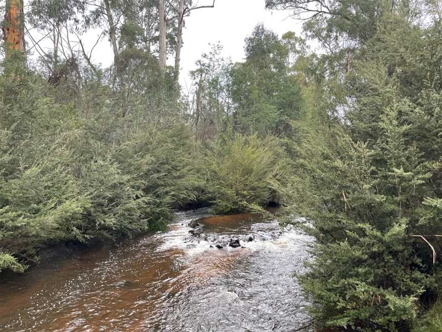 Blackwood Suspension Bridge, Murrindindi, VIC