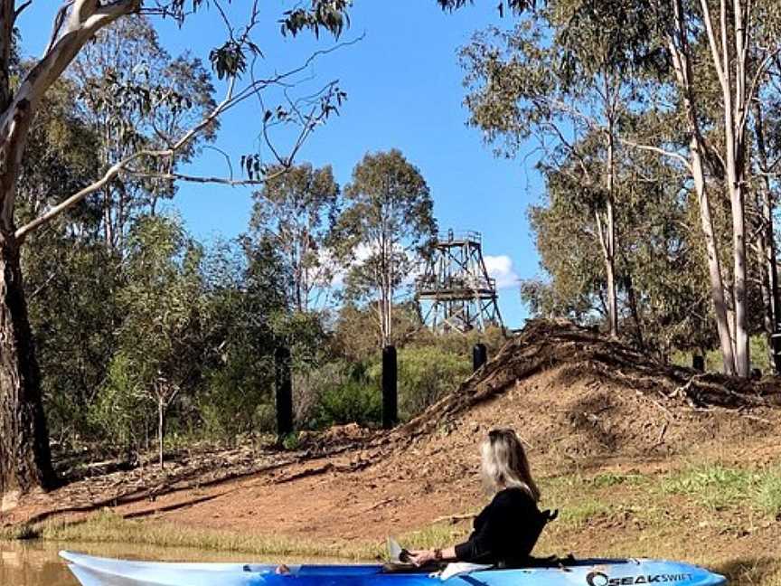 Cooinda Reserve, West Wyalong, NSW