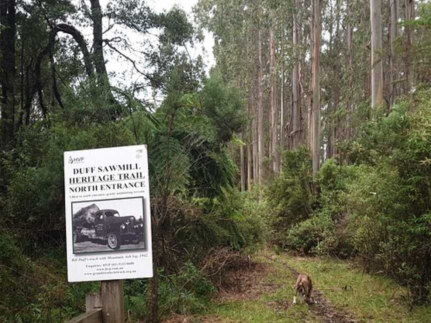 Duff Sawmill Heritage Trail, Balook, VIC