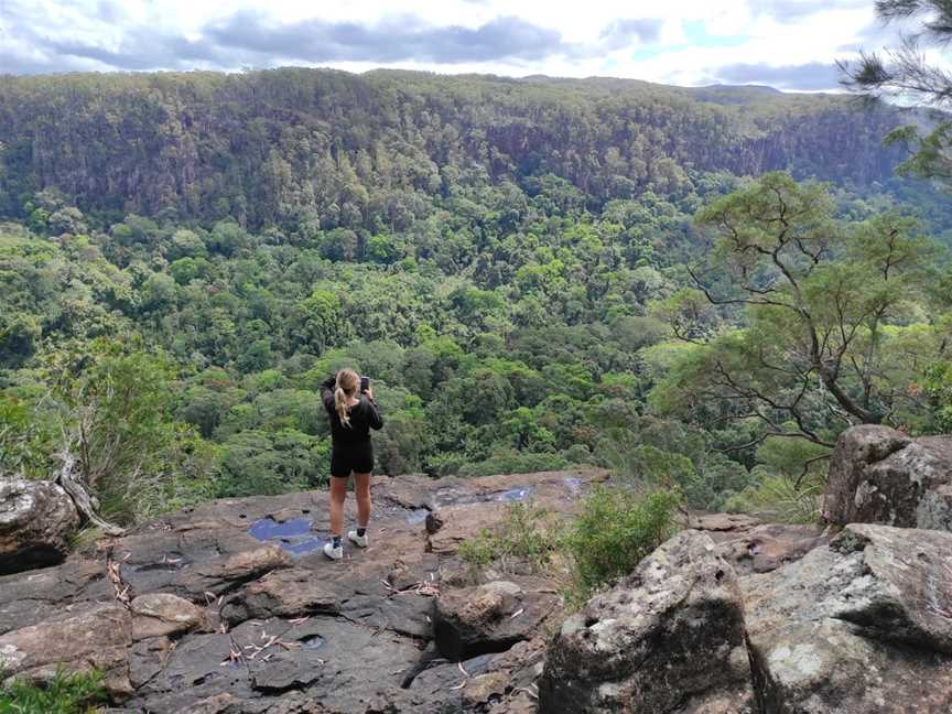 Goonengerry National Park, Mullumbimby, NSW