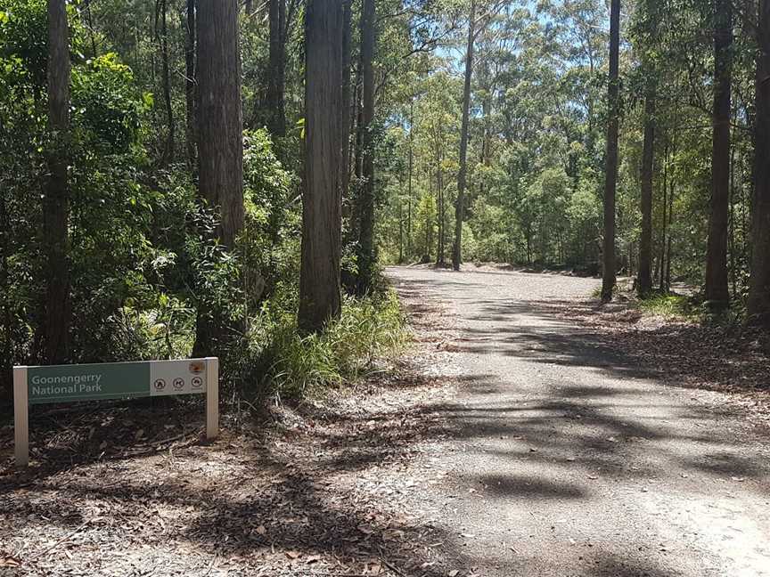 Goonengerry National Park, Mullumbimby, NSW