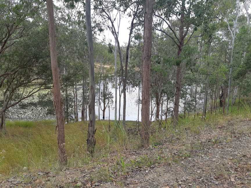 Herberton Range National Park, Herberton, QLD