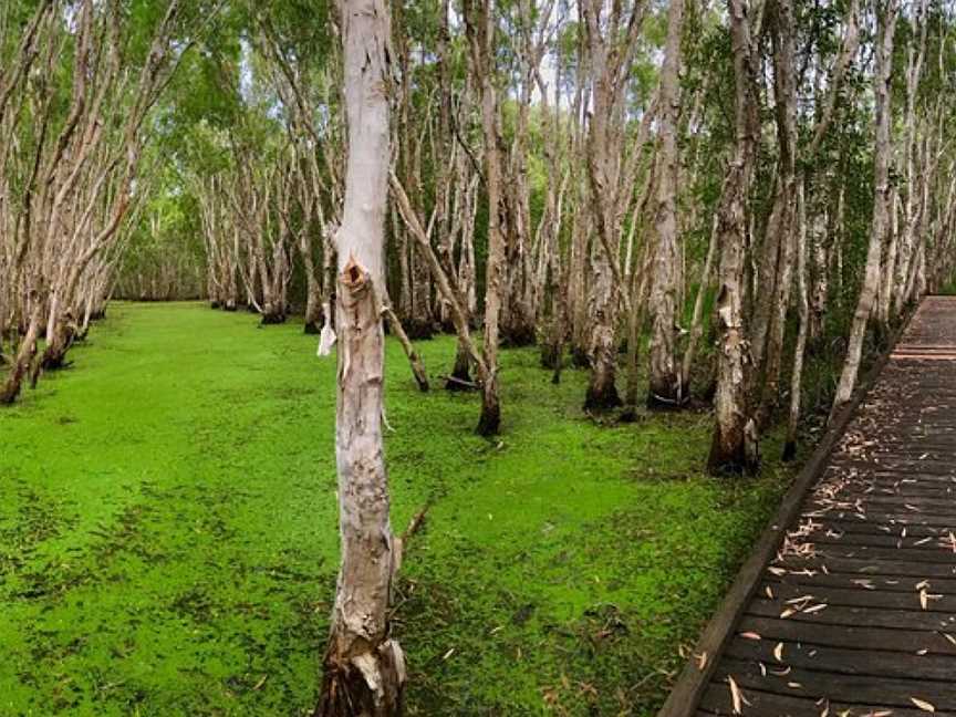 Kommo Toera Trail, Mackay, QLD