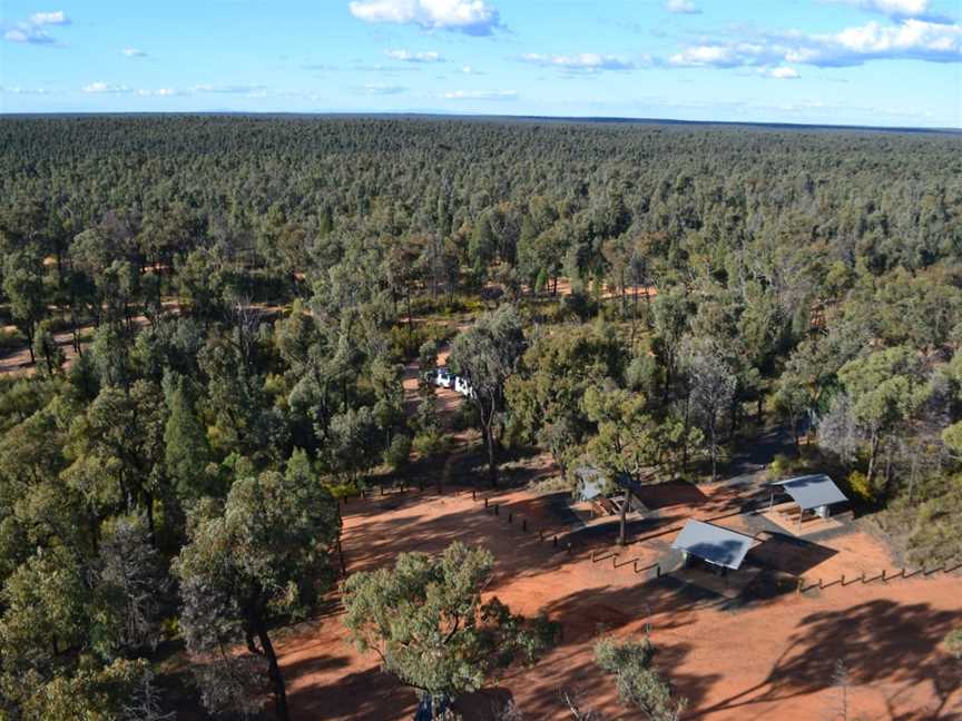 Timmallallie National Park, Bugaldie, NSW