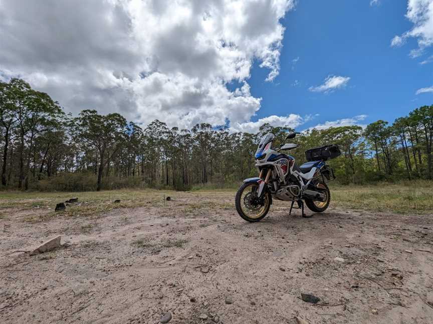 Wallaroo National Park, Clarence Town, NSW