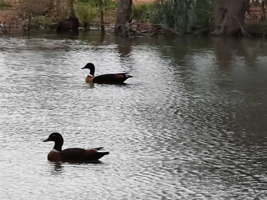 Walpeup Lake, Ouyen, VIC