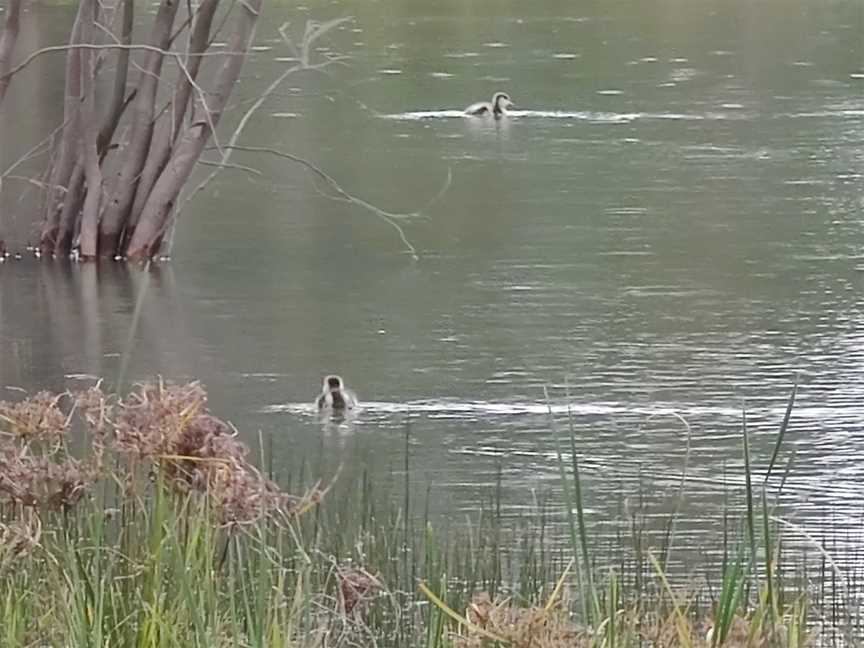 Walpeup Lake, Ouyen, VIC