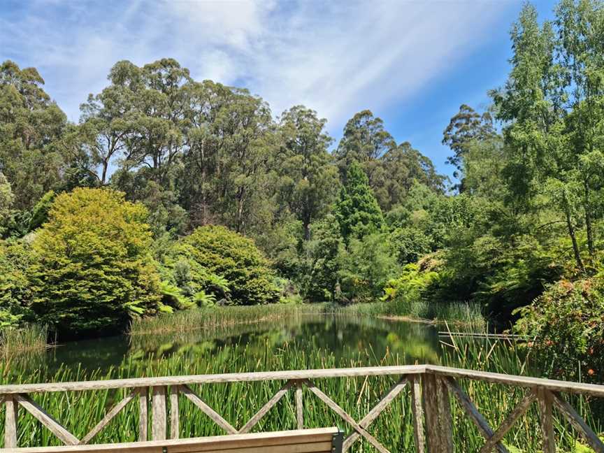 Dandenong Ranges Botanic Garden Ornamental Lake, Olinda, VIC