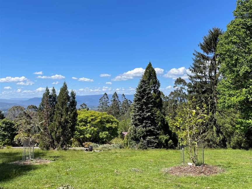 Dandenong Ranges Botanic Garden Ornamental Lake, Olinda, VIC