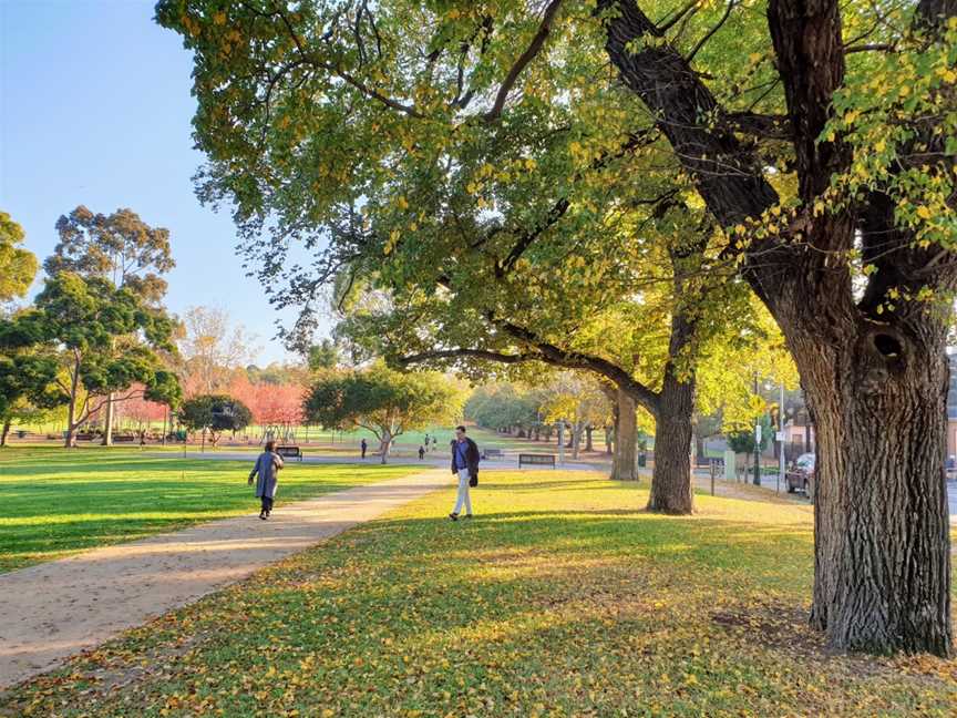 Fawkner Park, South Yarra, VIC