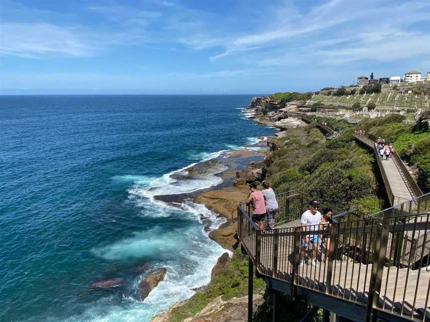 Bondi to Coogee Walk, Coogee, NSW