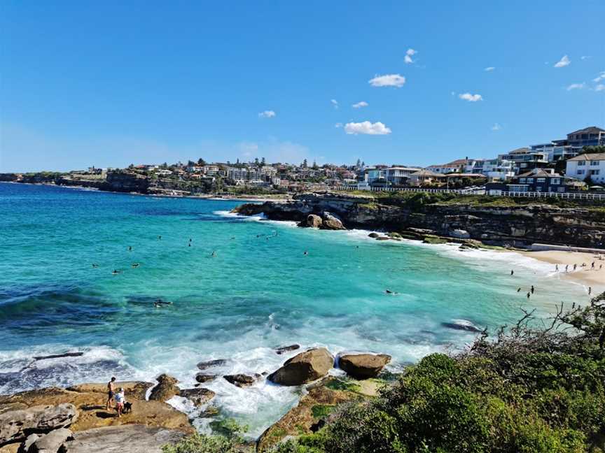 Bondi to Coogee Walk, Coogee, NSW