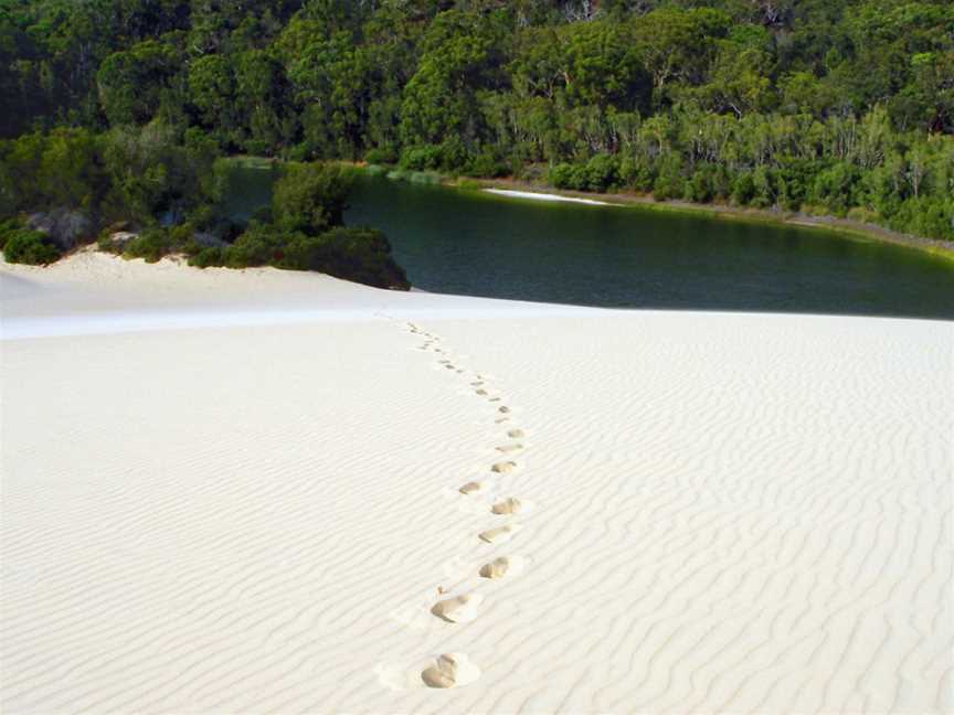 Great Sandy National Park, Cooloola, QLD