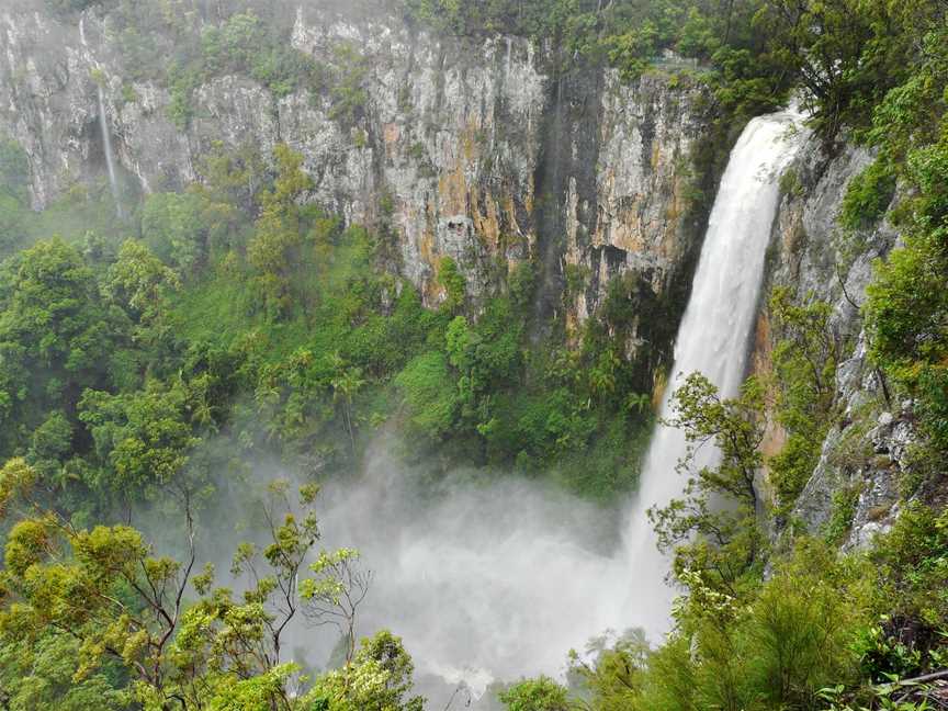 Purling Brook Falls, Springbrook National Park, Springbrook, QLD