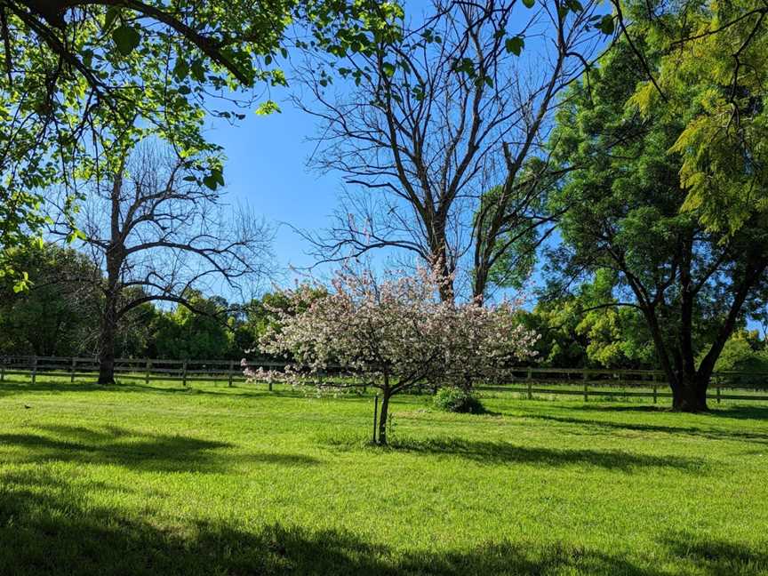 Tench Reserve, Jamisontown, NSW