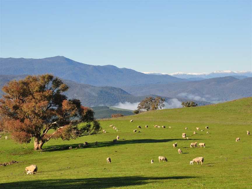 Southern Cloud Memorial Lookout, Maragle, NSW