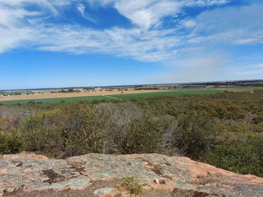 Mount Monster Conservation Park, Keith, SA