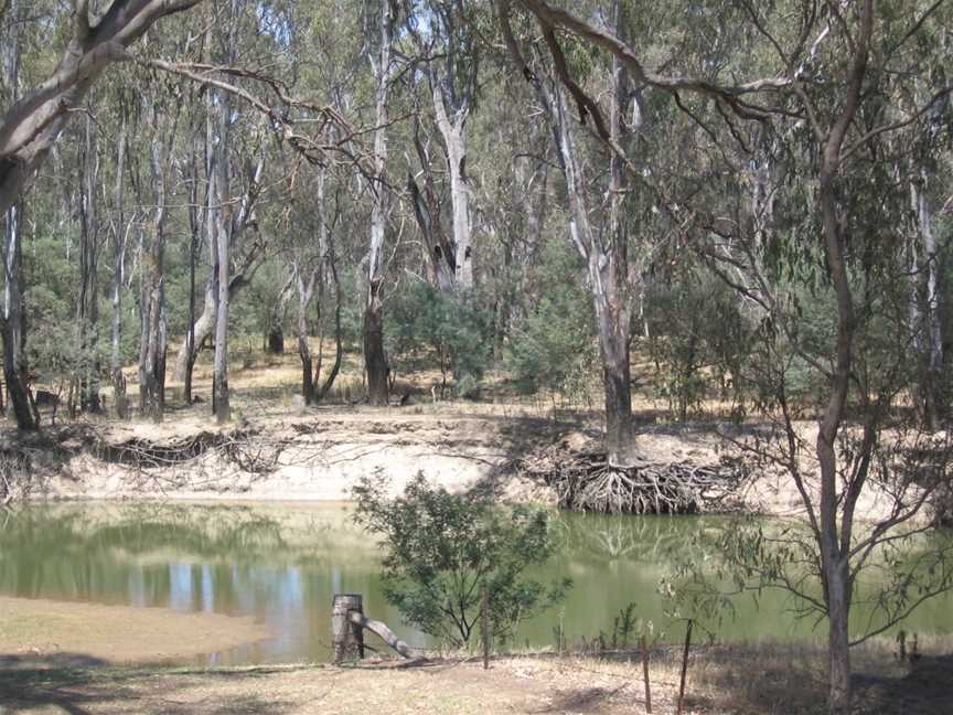 Murray Valley Regional Park, Mathoura, NSW