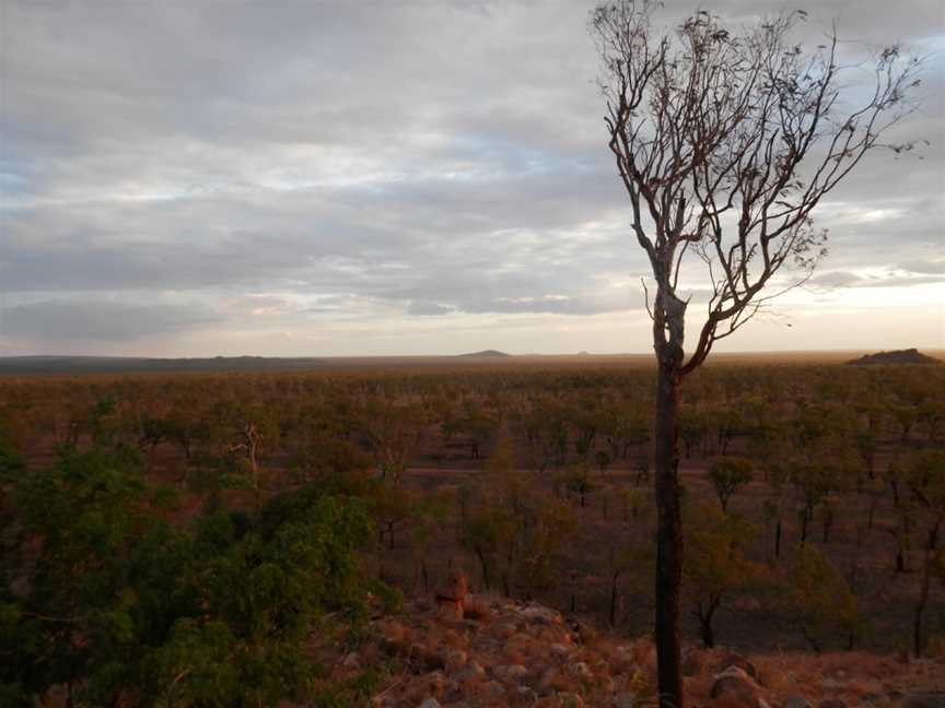 Undara Lava Tubes, Mount Surprise, QLD