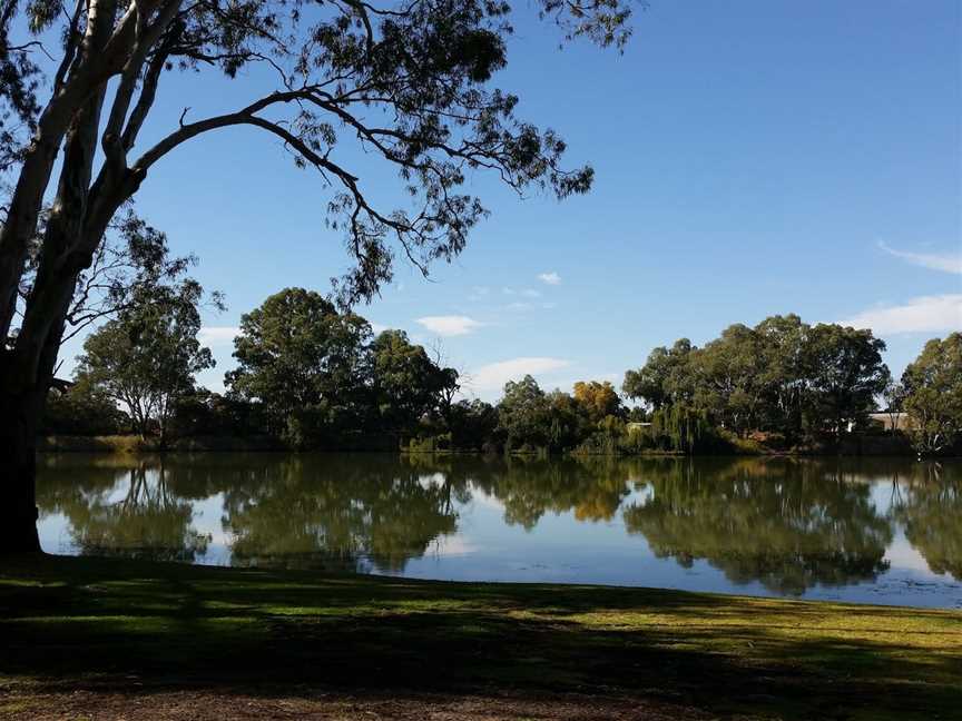 Martin Bend Reserve, Berri, SA