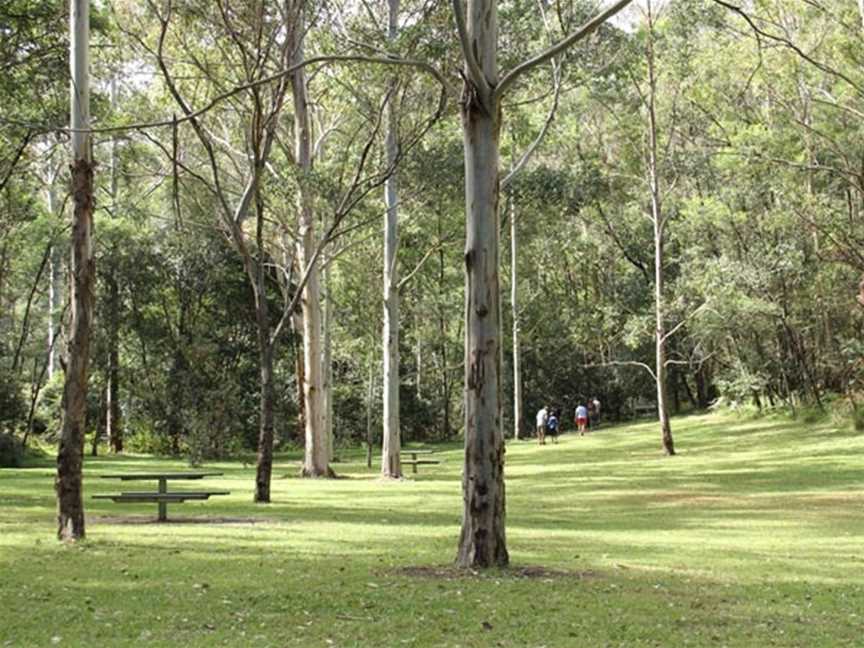 Mill Creek picnic area, Gunderman, NSW