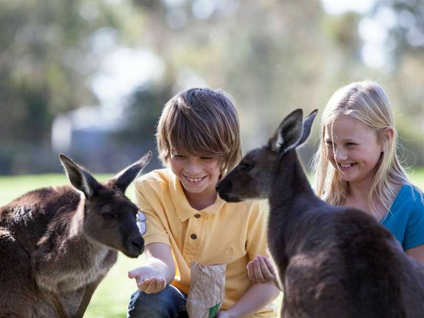 Cleland Wildlife Park, Crafers, SA