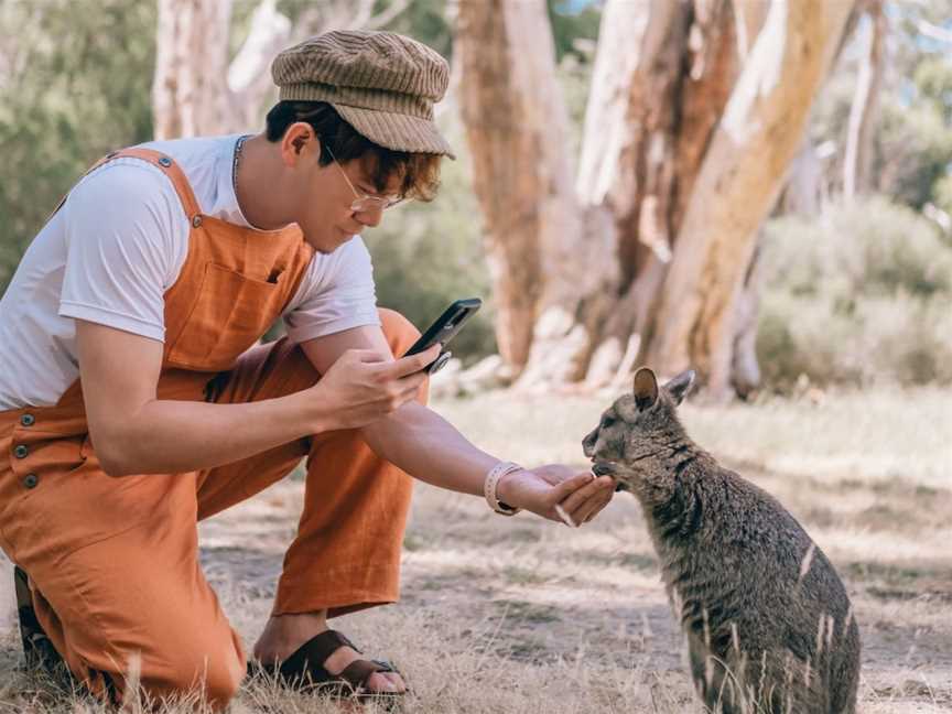 Cleland Wildlife Park, Crafers, SA