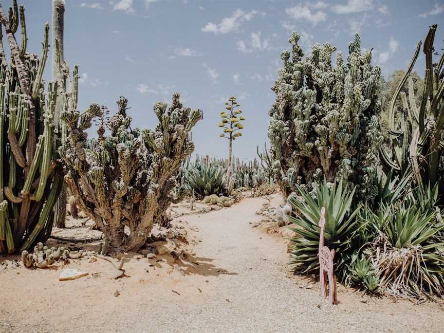 Cactus Country, Strathmerton, VIC