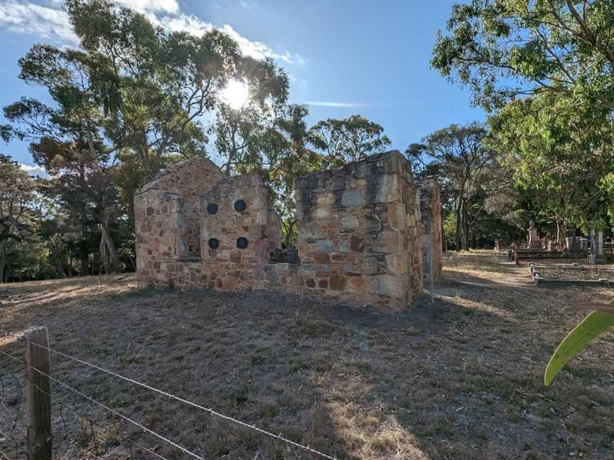 Mount Crawford Forest, Mount Crawford, SA