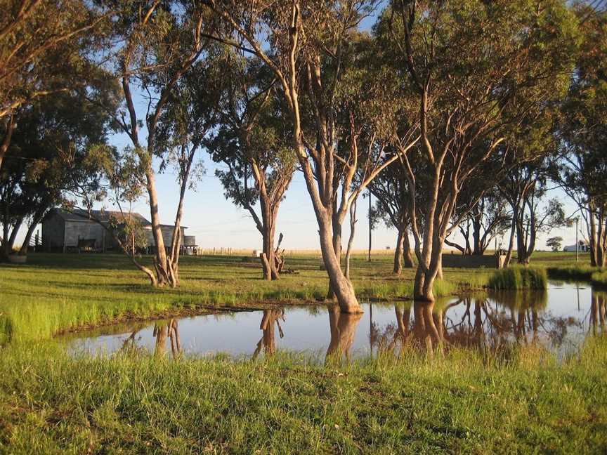 Wyoming Lavender Estate, Mount Russell, NSW