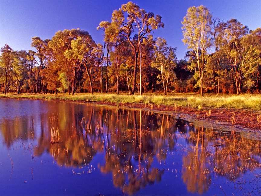 Nuga Nuga National Park, Rolleston, QLD