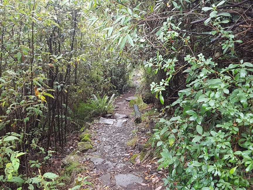 Fainter Falls, Mount Beauty, VIC