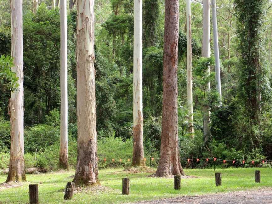 O'Sullivans Gap picnic area, Boolambayte, NSW